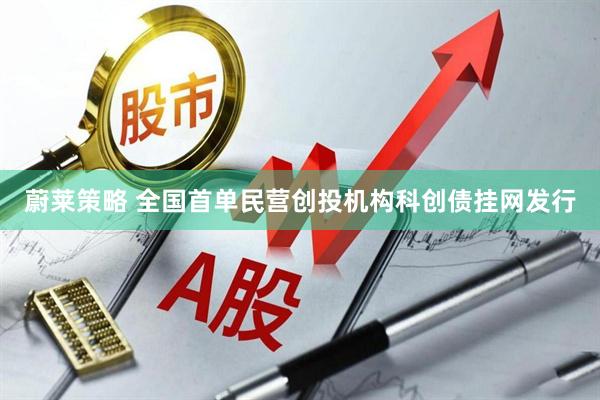 蔚莱策略 全国首单民营创投机构科创债挂网发行