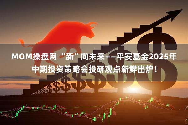 MOM操盘网 “新”向未来——平安基金2025年中期投资策略会投研观点新鲜出炉！