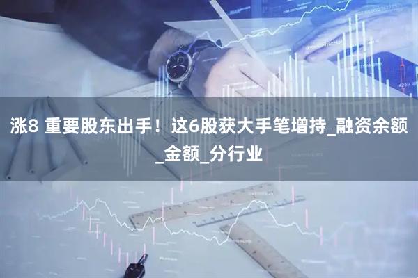 涨8 重要股东出手！这6股获大手笔增持_融资余额_金额_分行业