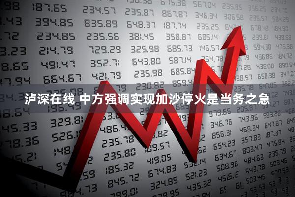 泸深在线 中方强调实现加沙停火是当务之急
