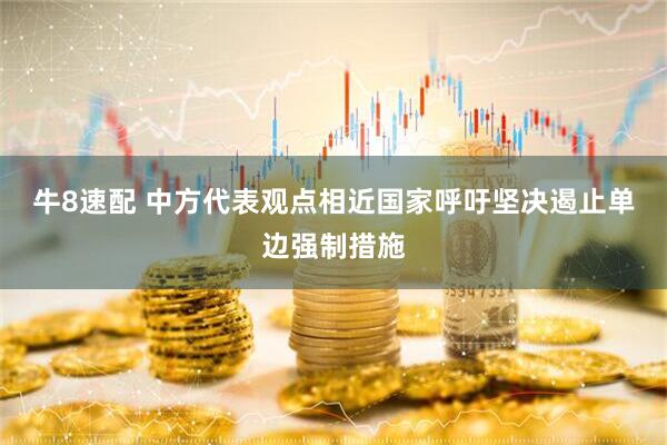 牛8速配 中方代表观点相近国家呼吁坚决遏止单边强制措施
