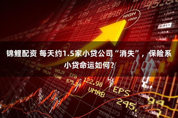 锦鲤配资 每天约1.5家小贷公司“消失”，保险系小贷命运如何？