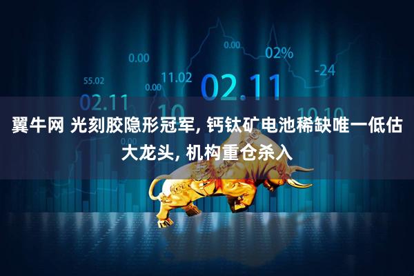 翼牛网 光刻胶隐形冠军, 钙钛矿电池稀缺唯一低估大龙头, 机构重仓杀入